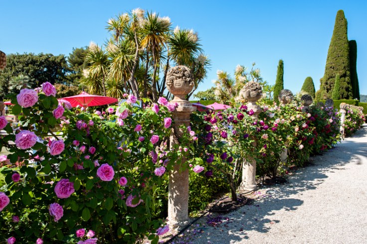 COPYRIGHT-MILLIE-BROWN-ROTH-4