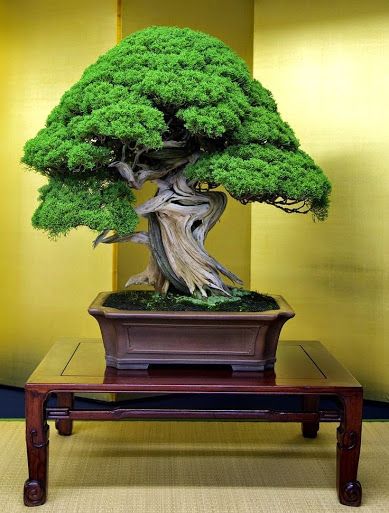 d12907522d0648a7163b536d4ed66c4d