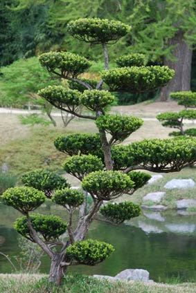 e813f0c05b61f94889b426b182a67224