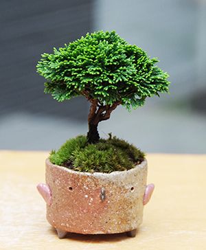 e879c757add808e68380b2f83e7bf3d6