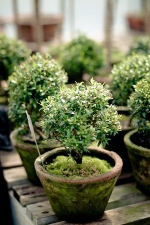 e9219ad97c4dcc821db58f54ea7f396d