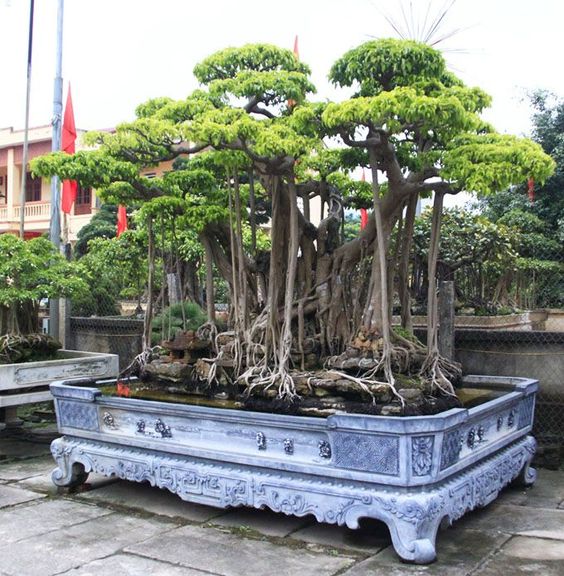 edf1781217be73f0bbb792a525c2a1c9