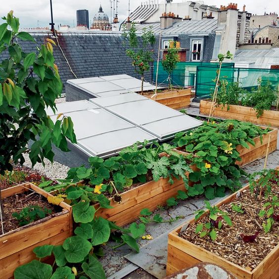 ee2252890abdc8631187c6bf0c2ff8fb