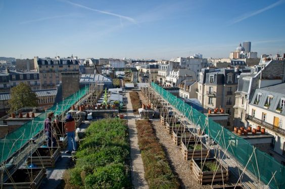 f56c3bff6262a9116e39fa1b841b8eea