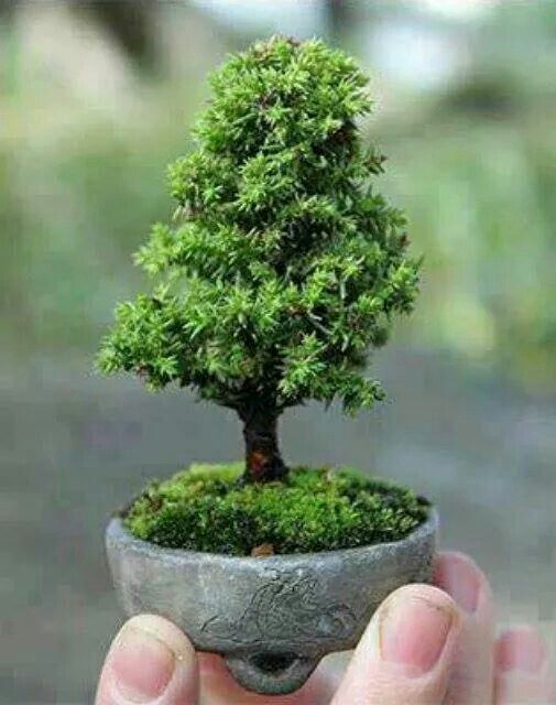 fda17ea67b370ef0979d8a55758aad2a