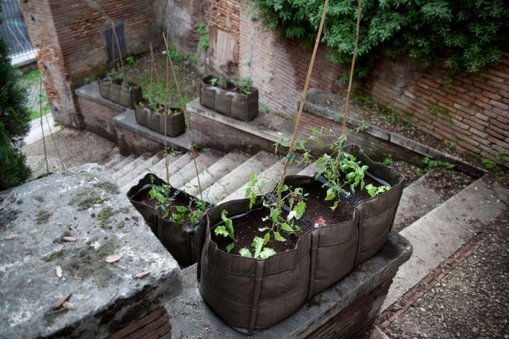 orti-villa-aldobrandini-1024x682