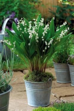 0d01c10270e6ca0711816fffeabf87b5