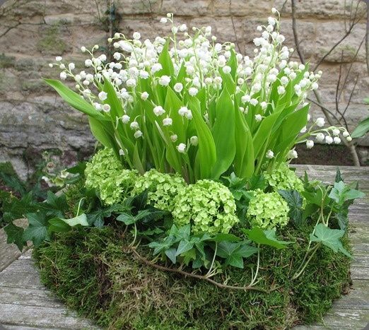 382d8f92c5bd273fb783f70df4b279d0