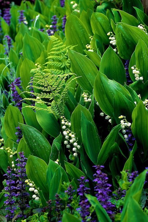 8025d05e22e9e2a4bebb4ae6c3730b65