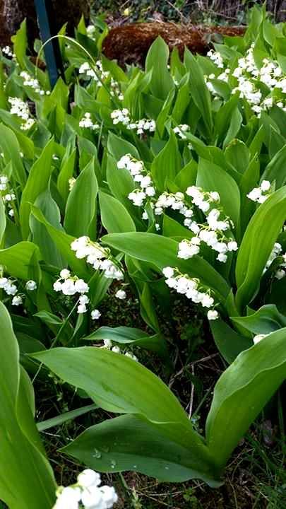 d73f7e3286fa3c8b6e4077fac08b2cf0