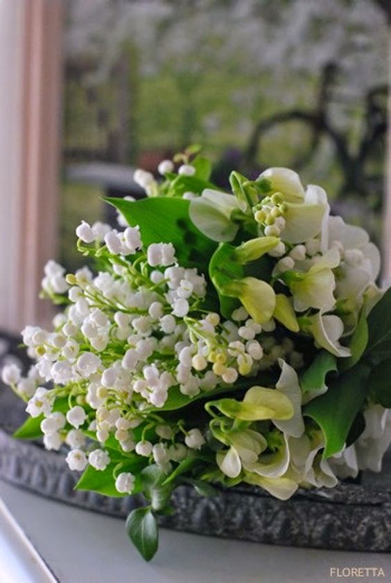 eb6d9ba432667acff412005f13d2da9a