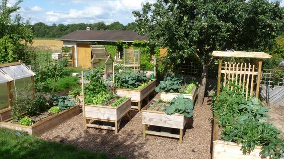 194fe1324cefefe271f2b2cece312e11