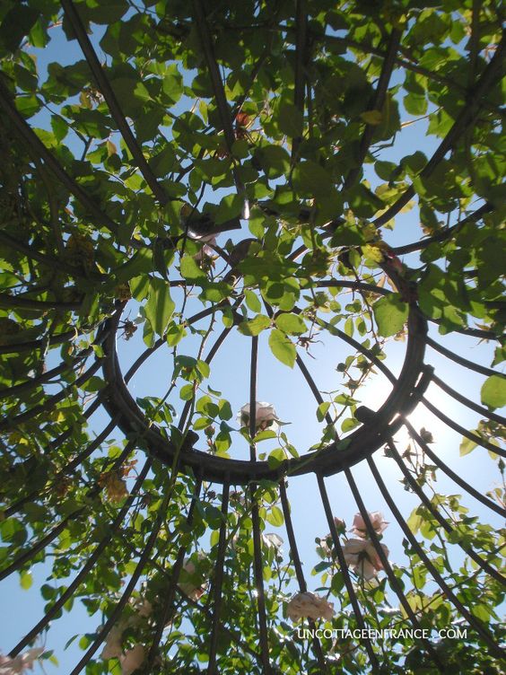 1a4f4efef212d1f7684db85d0416d261