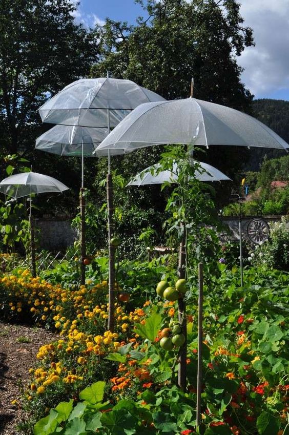 1b36c6ee520c024bbe3c422b9f31431f