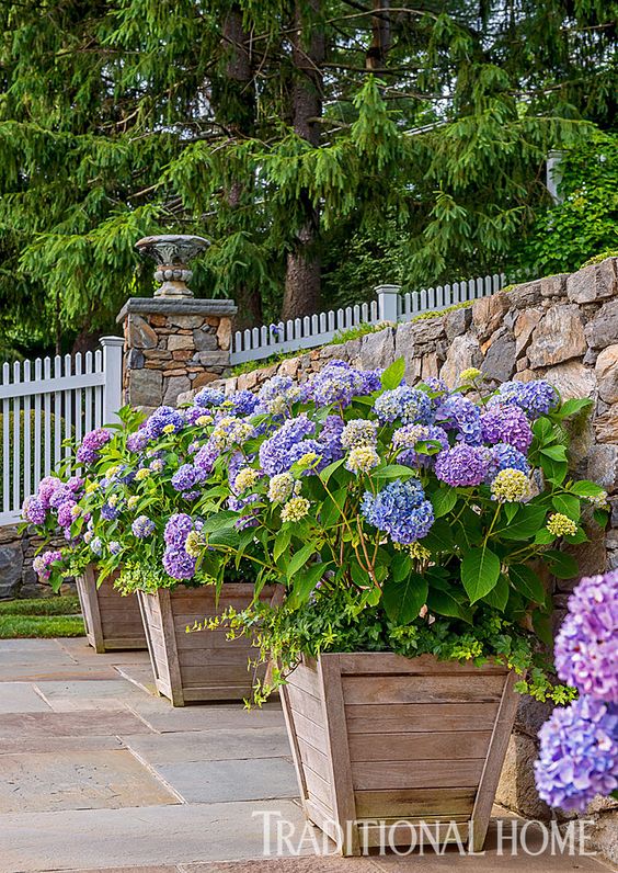 1d3063ddd2a796f3bf72495b68ea9aea