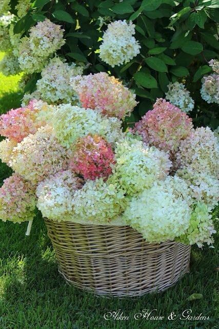 1ee0e51228e462b1fba2fa549b4eb207