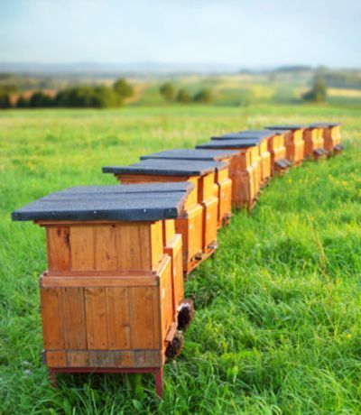 2ca277dd8382d6dfb54558a1187bc23f