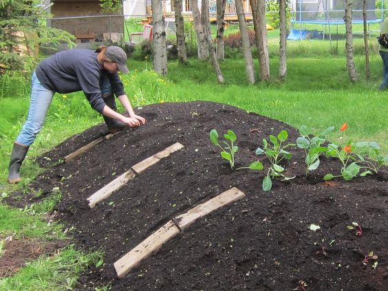 98dc99abb832e0dc076b9a9bbe8de6fd