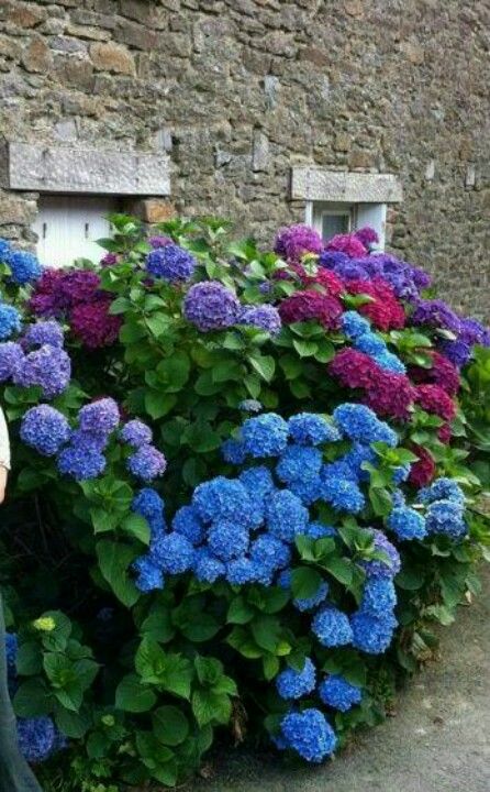 a63c180985b2b0961dcf4bcf32809012