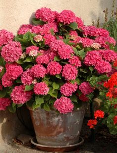 b7f30af9b1957626adb15d31e030582e