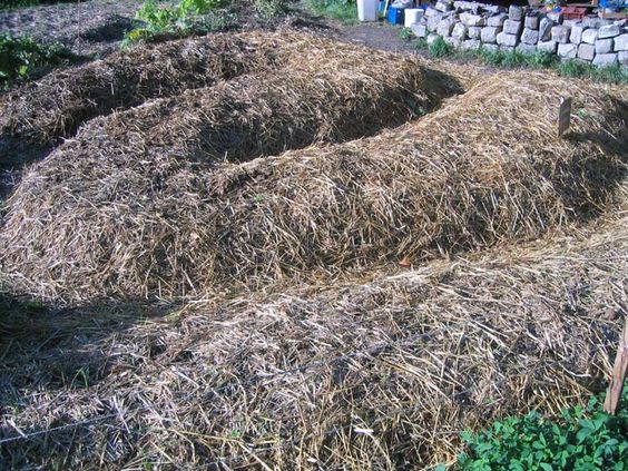 becf4c1c1041d3895faf922d8f2f2cf6