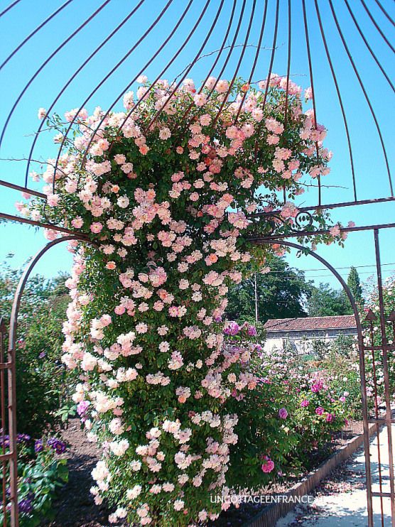 bf2247693104a7767a33e68251ab21d0