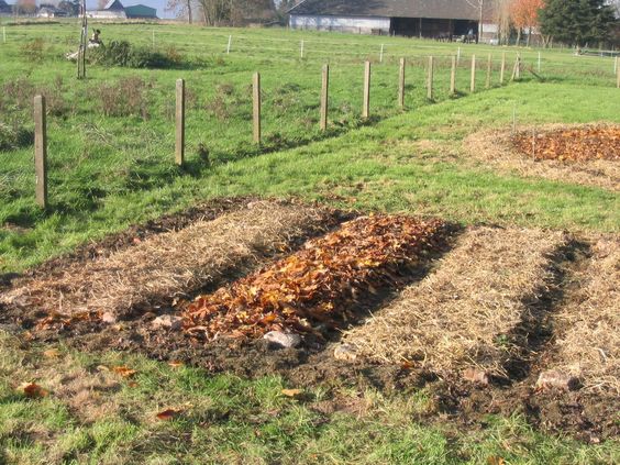 c7b04c832fe89446c8311b69128a2c85