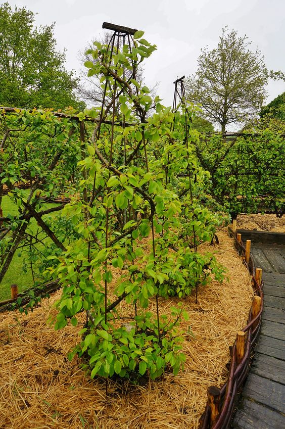 e405f0cfe221f73db32238ad8746b5ab