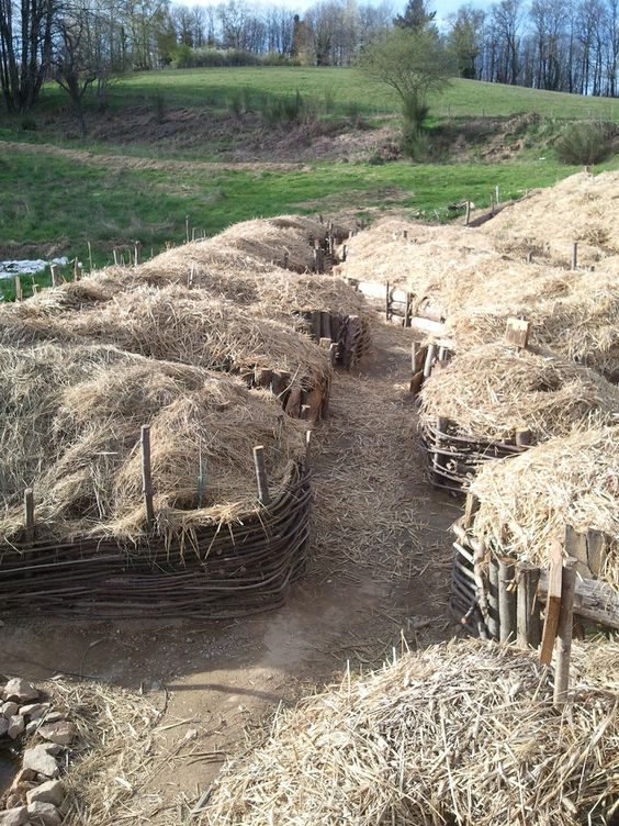 ecb251f127d7ef1fef7c6afc853ac32b