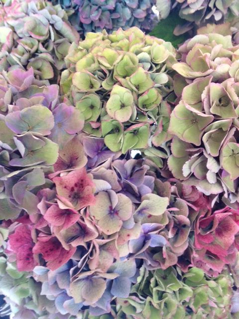 ee83b39a8fc4de14f6be7917b821de28