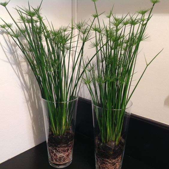 1391fd257ebe4e8143218f1c1b8072a9