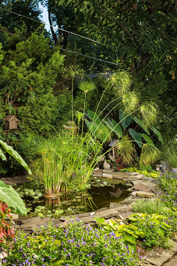 1f5c8f00cec5ce38155fcb4d623d980e