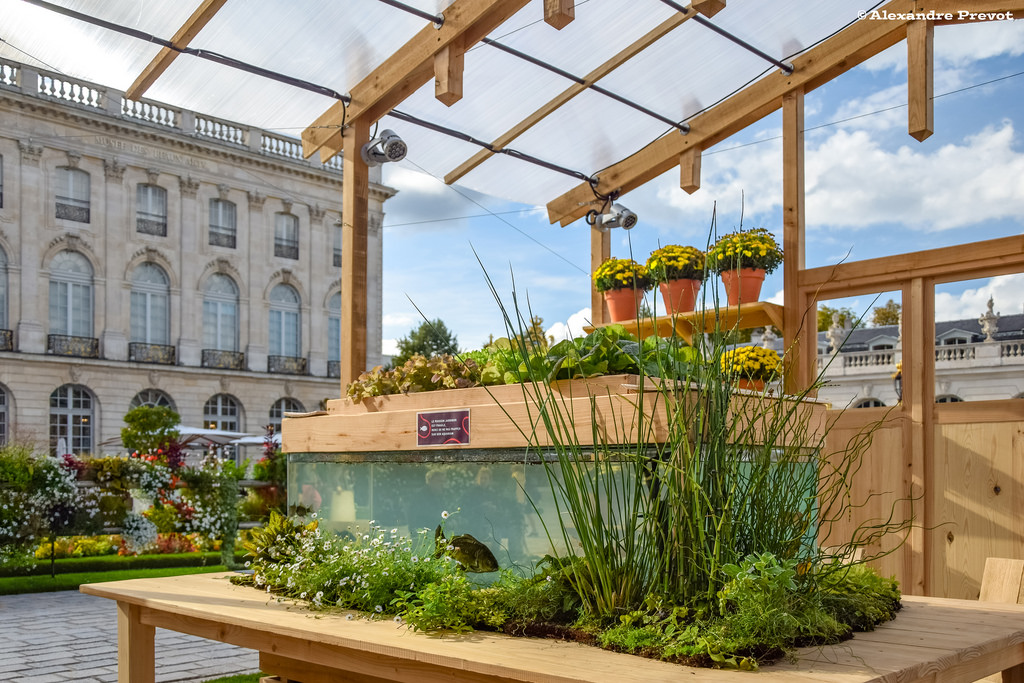 21591925918_4c88b29e73_b