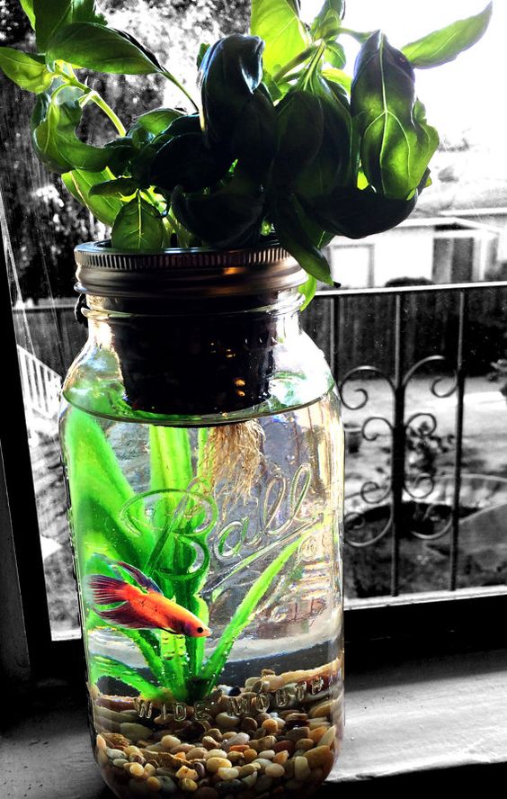 29aaff5978e0d772f8ffa0cb58dfe8be