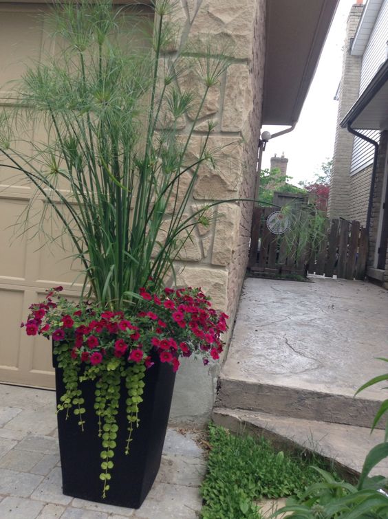 2cc52b850f683749208bb4c0ed5c3a3e