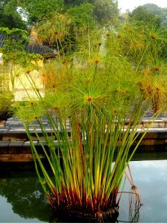 2ed691bb4be0daeba93aefbf9400bbc5