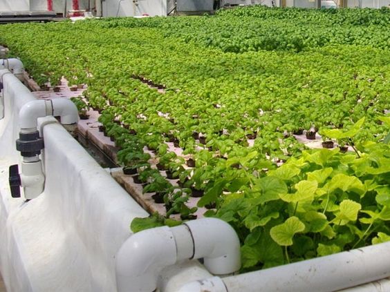 3a733c091a0c35f6866337547db34a0d