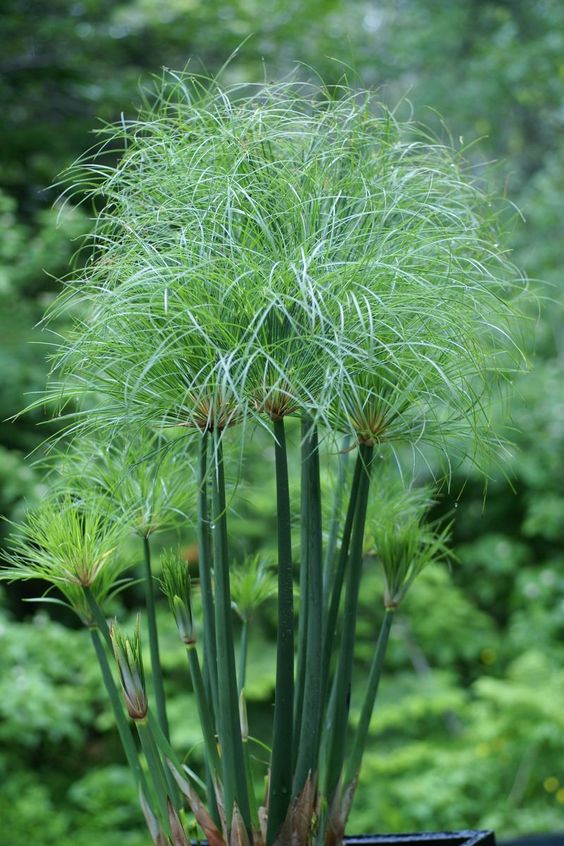 72723643750ca3121025ef20e04000f0