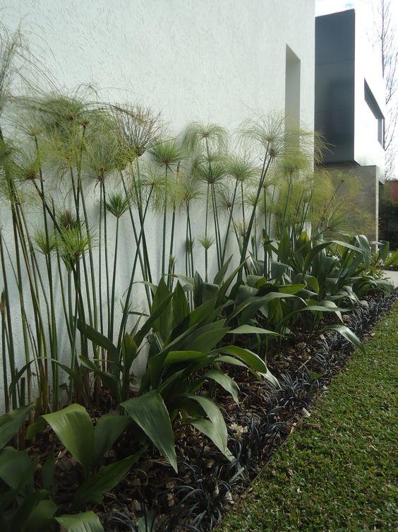 a478afeab6e8669ba89949b5df215fa6