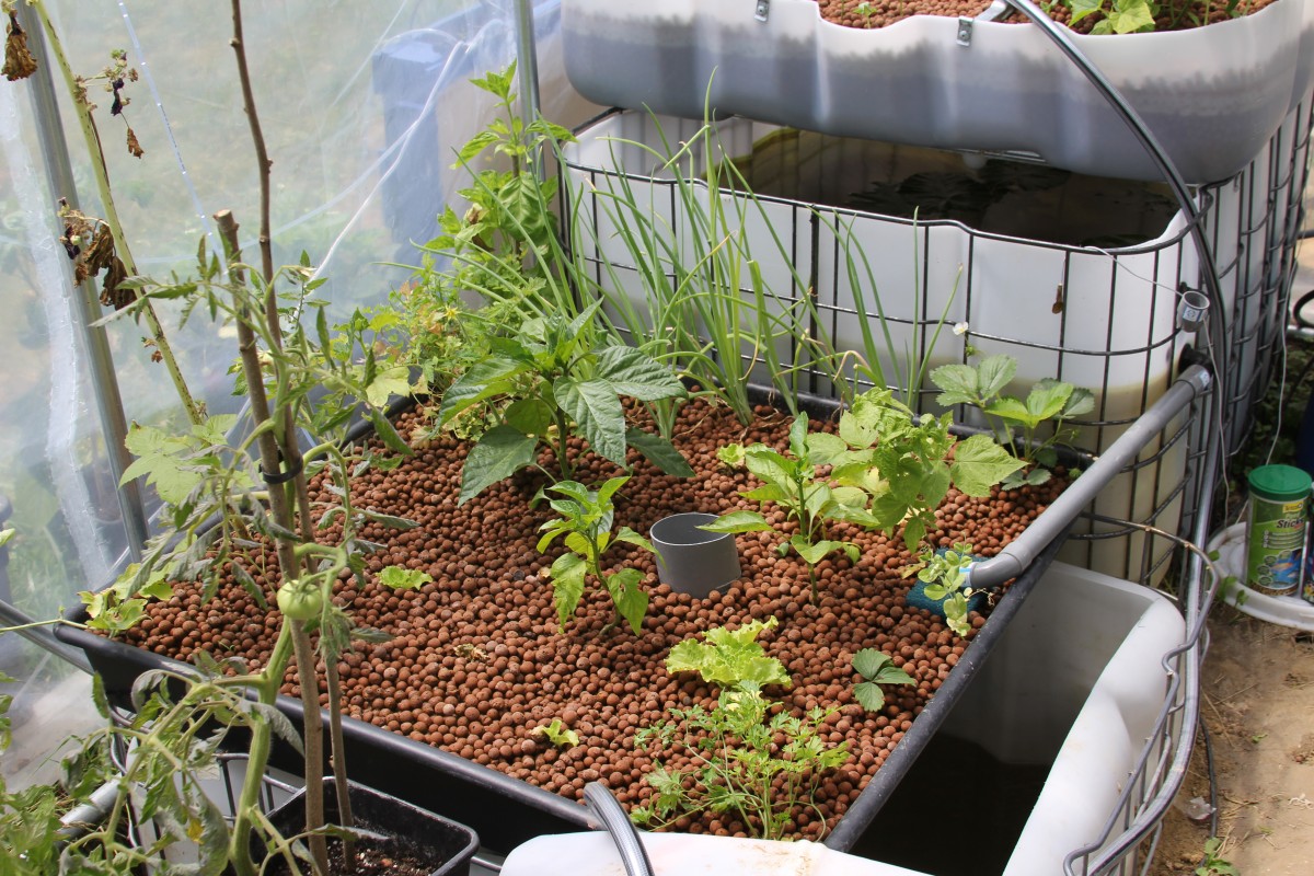 beta_2014-12-04_00-01-07-1200x800