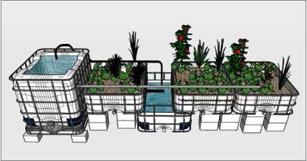 kit-aquaponique-siphon-cloche