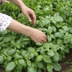 38b548e5e6a1d253197fdbf38dad4542