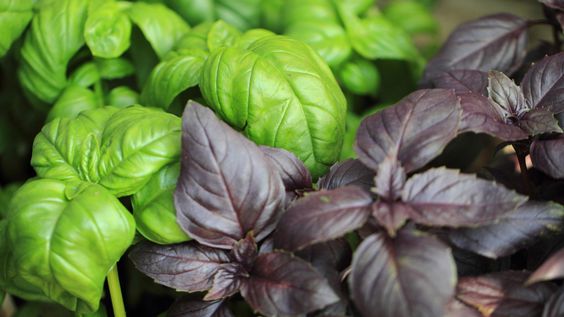 9eadbd9dd4741e5e6b46e6d9ed727302