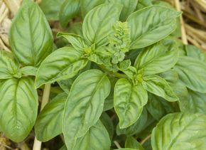 e8d0ca371dae07691c502ff7b212dd5f