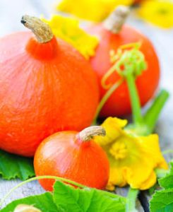 0477517eae066909b9d1ab2b697a68a7