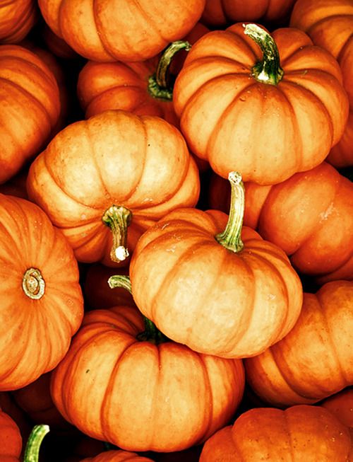 3ebd5b743340303682302c66f9ae22c9