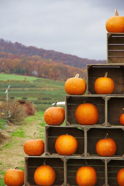 585b83fa96aa52fcb2fbef4c72b9cbbe