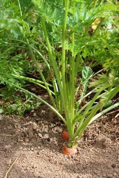 690d52ee8d5e0a04d6d10d8f26a90d76