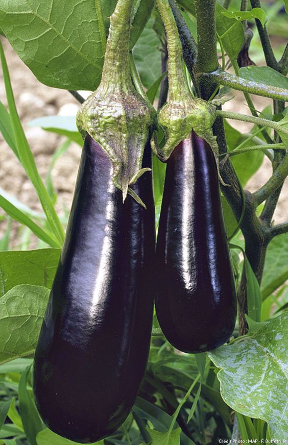 6c793c9e6eddf835568bf4fc58839c3a