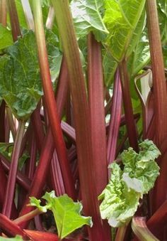 81b69a17efe056402d99ce632e3cb493